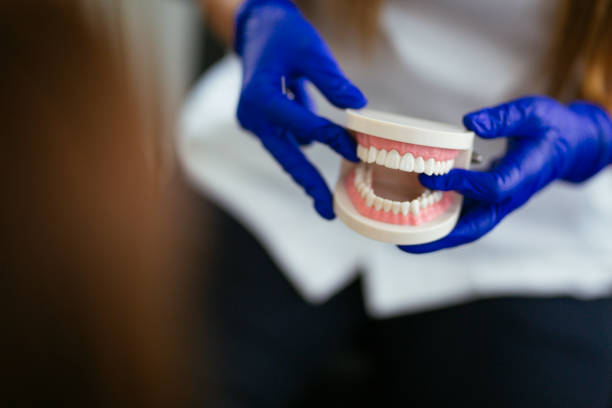 Best Dental Fillings (Composite and Amalgam)  in Mount Gay Shamrock, WV